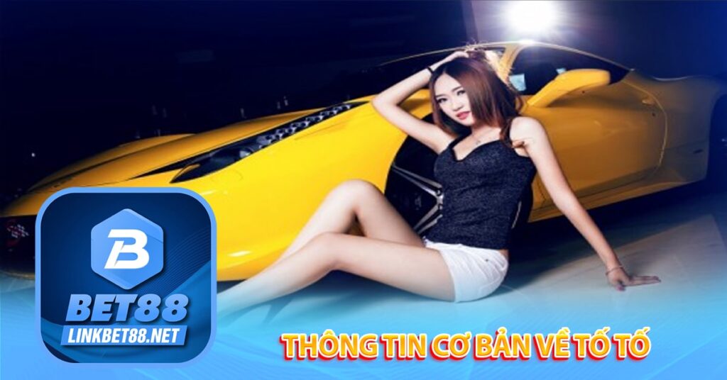 Thông tin cơ bản về Tố tố